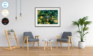 Open image in slideshow, The dead tree from above 100*70 cm - Collectors edition of 3
